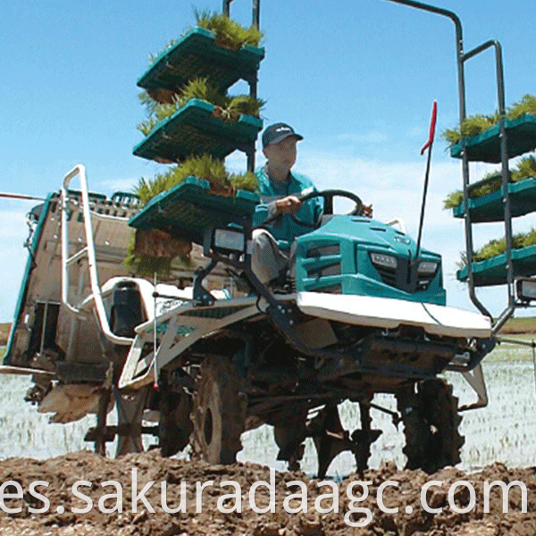 Farmland walk-behind rice transplanter